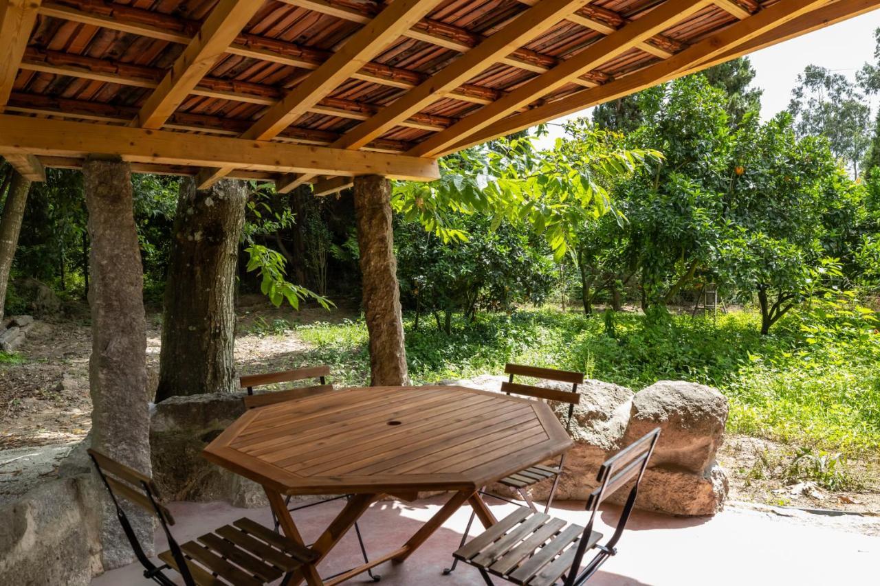 Casas Do Capitao - Paiva Valley - Pool And Nature Castelo de Paiva Exteriér fotografie